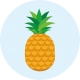 Fruits