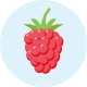 Fruits